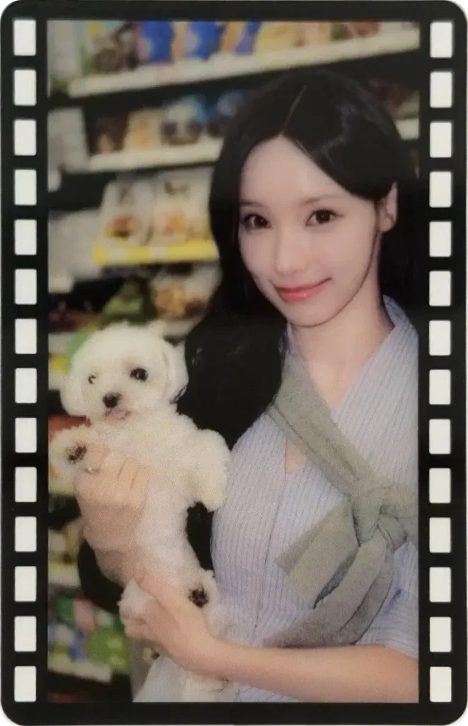 원이 · 흰 강아지